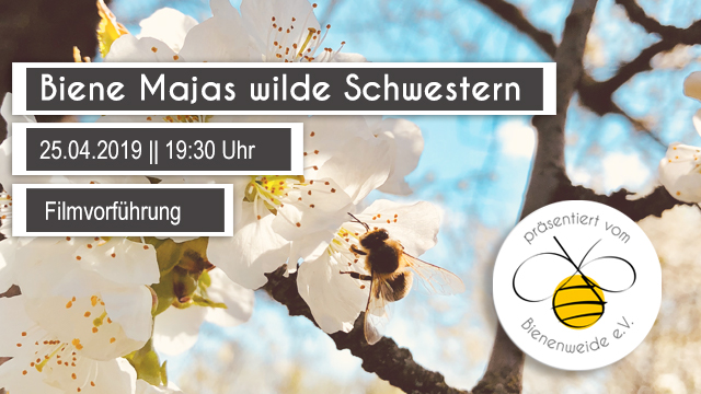 2019-04-25_BieneMajas_wilde Schwesetrn