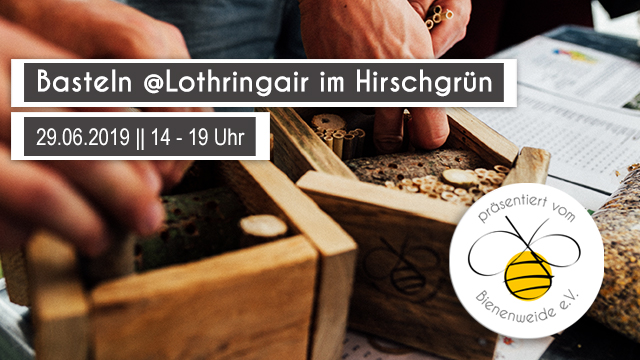 Bild_Lothrinair-im-Hirschgruen