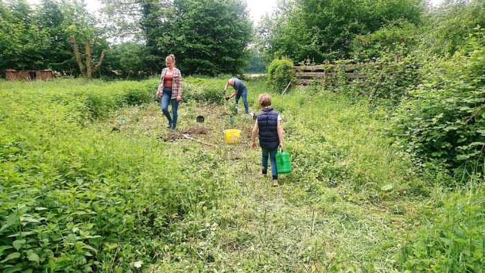 Arbeit auf der Aachen Bienenweide