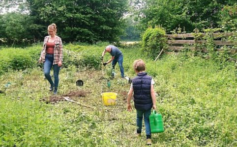 Arbeit auf der Aachen Bienenweide