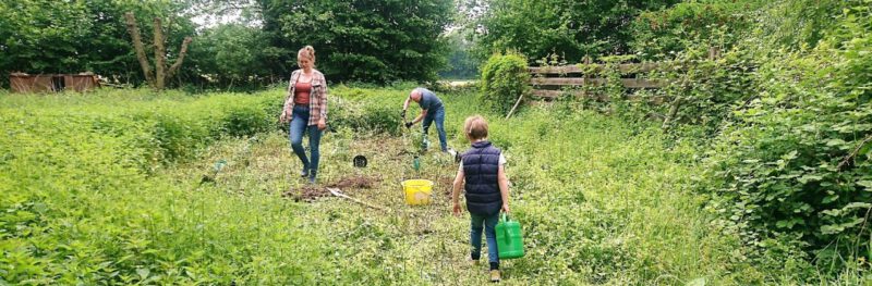 Arbeit auf der Aachen Bienenweide