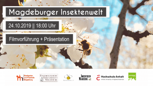 Magdeburger Insektenwelt @ Freie Waldorfschule Magdeburg | Magdeburg | Sachsen-Anhalt | Deutschland