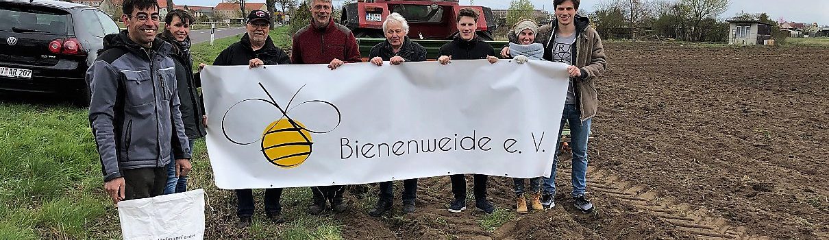 Aussaat der Bienenweide in Tangerhütte