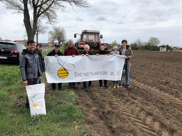 Aussaat der Bienenweide in Tangerhütte