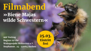 Die Grafik wirbt für den Filmabend "Biene Majas wilde Schwestern" und enthält den Text: "Filmabend »Biene Majas wilde Schwestern« mit Vortrag, Beginn 19 Uhr, Wohnprojekt Wohnsinn e.V., Stephanstr. 24 • 52064 Aachen, 25.03., Eintritt frei". Im Hintergrund ist eine Wildbiene auf einer Blüte zu sehen.