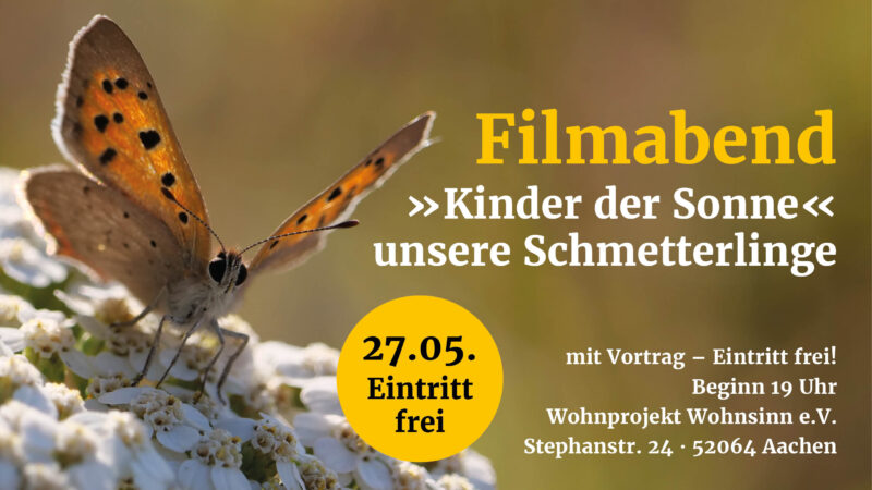 Die Grafik zeigt einen sitzenden Schmetterling mit ausgebreiteten Flügen, welcher auf weißen Blüten sitzt. Das Bild wirbt für den Filmabend "Biene Majas wilde Schwestern" und enthält den Text: "Filmabend »Kinder der Sonne - unsere Schmetterlinge« mit Vortrag, Beginn 19 Uhr, Wohnprojekt Wohnsinn e.V., Stephanstr. 24 • 52064 Aachen, 27.05.2026, Eintritt frei". Im Vordergrund ist ein Schmetterling auf einer Blüte zu sehen.